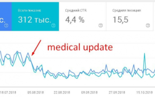 Продвижение интернет-магазина БАДов после Google Medic Update. Кейс
