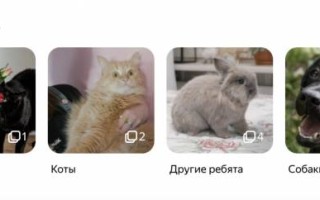 Яндекс.Дзен расширил функциональность рубрикатора