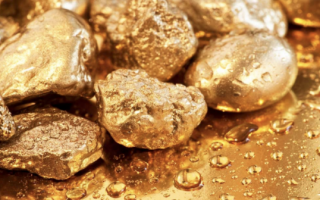 Каннибализация органики или «нужно больше золота»
