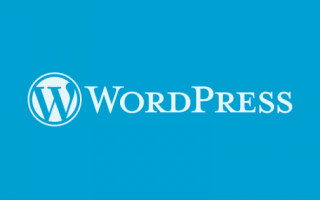 WordPress будет автоматически обновлять темы и плагины